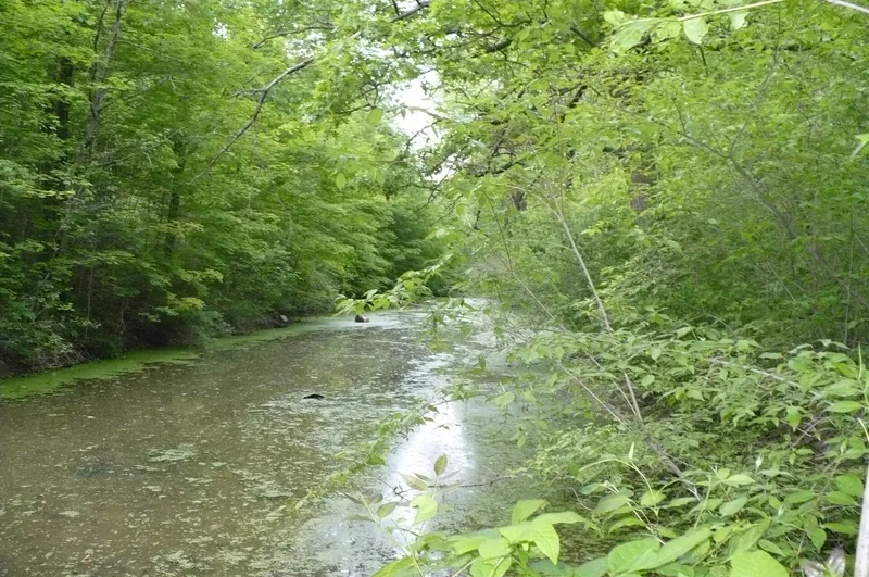 Miami And Erie Canal, Deep Cut, Spencerville, Ohio