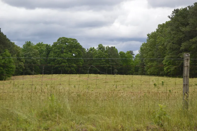 Williamson Site, Dinwiddie, Virginia