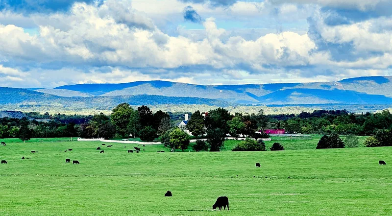 Cedar Creek Battlefield and Belle Grove, Middletown, Virginia