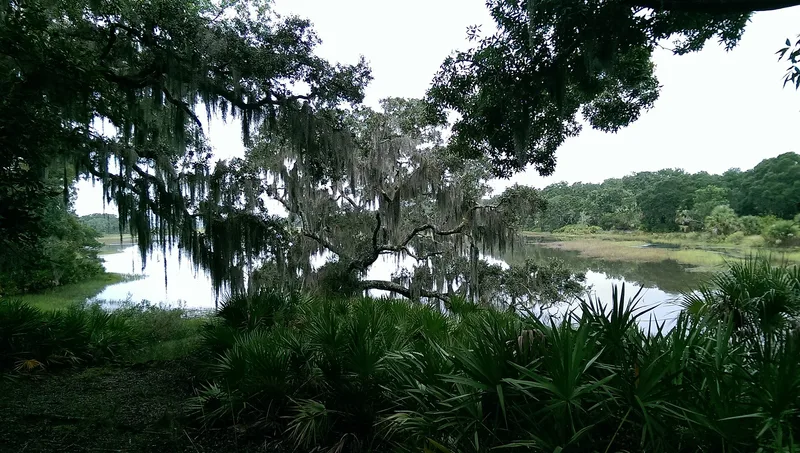 St. Catherine's Island, Georgia