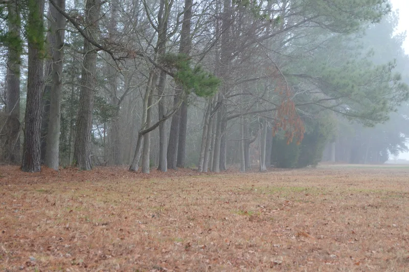 Fort Cricket Hill, Hudgins, Virginia