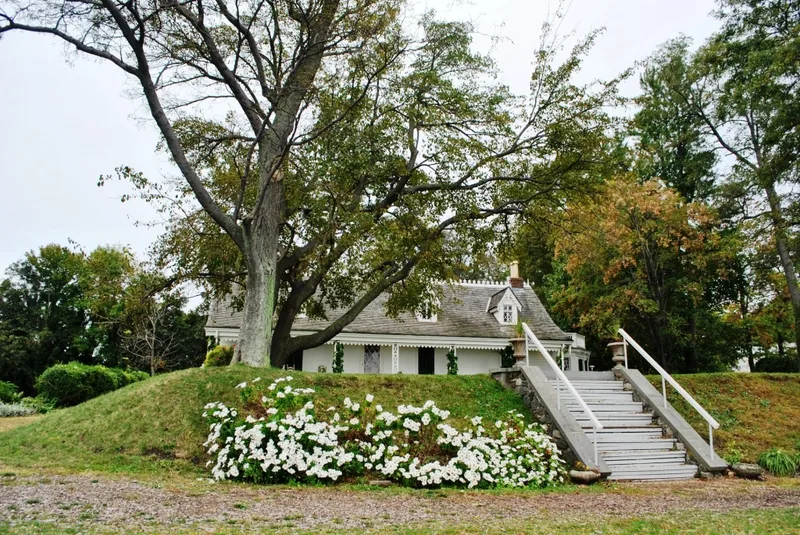 Austen, Elizabeth Alice, House-Clear Comfort, New York, New York