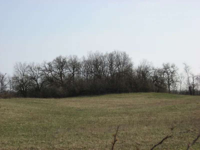 Mann Mound, Jacksonburg, Ohio