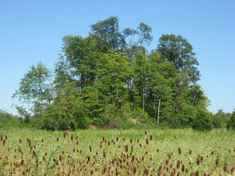 Great Mound, Middletown, Ohio