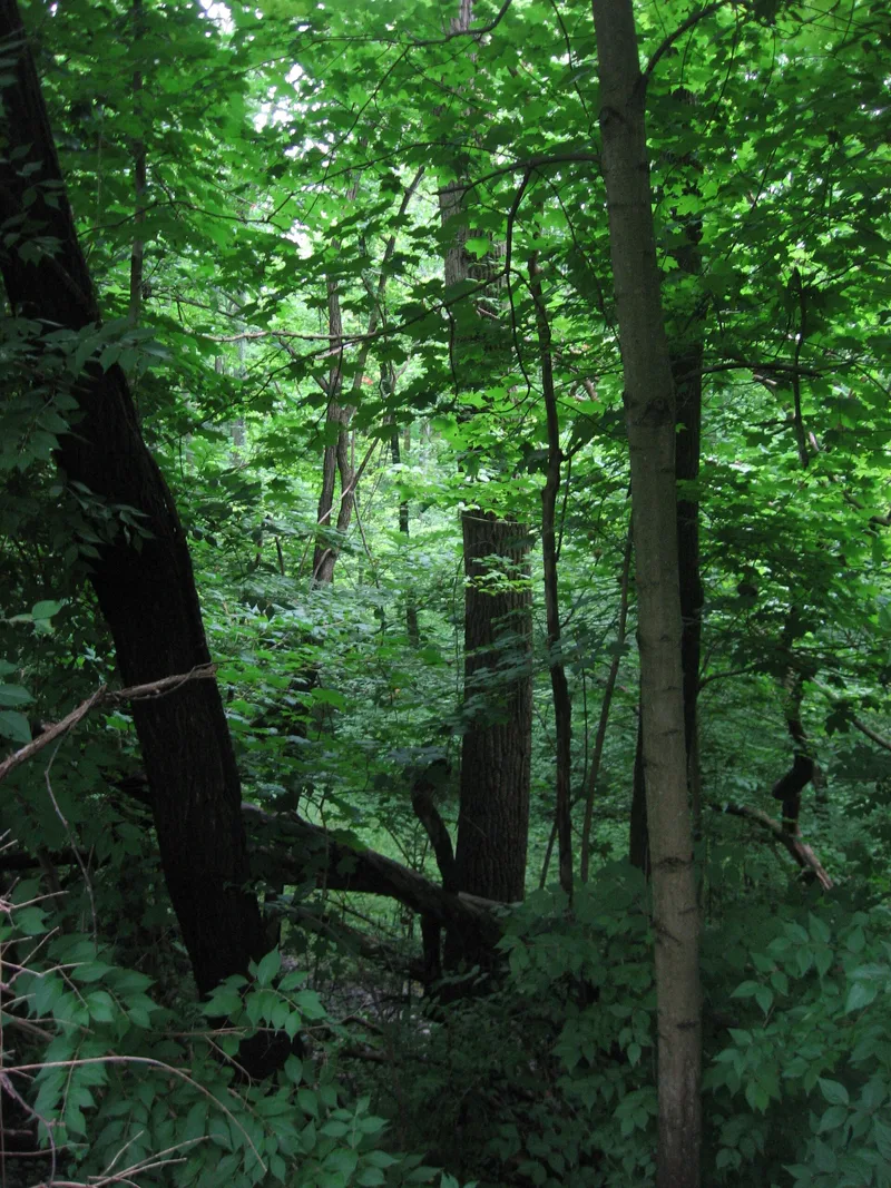 Union Township Works II, Pisgah, Ohio