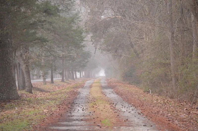 Lowland Cottage, Ware Neck, Virginia