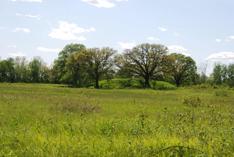 Ogden-Fettie Site, Lewistown, Illinois