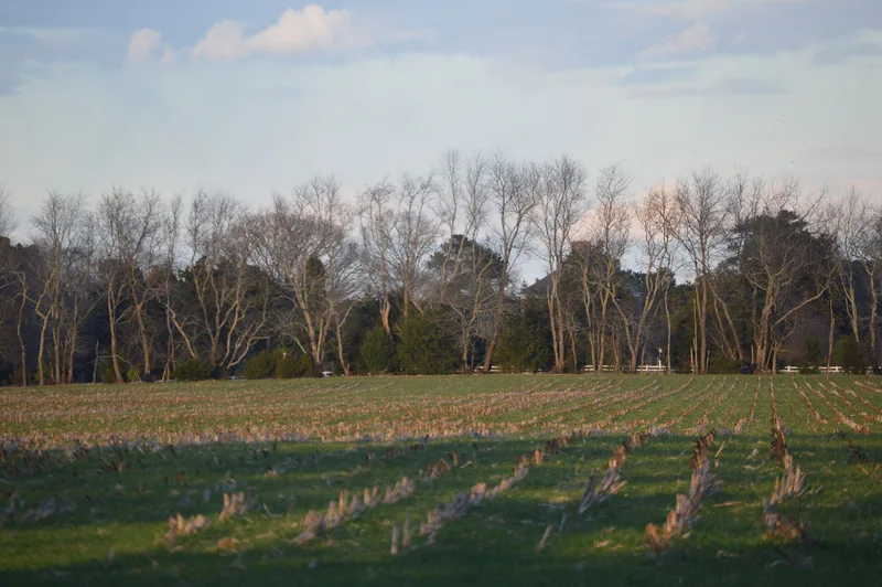 Wharton Place, Mappsville, Virginia