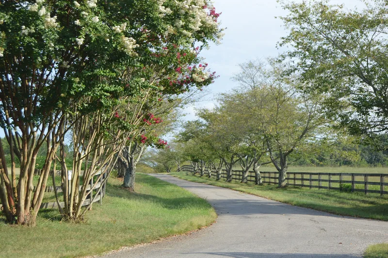 Bolling Hall, Goochland, Virginia
