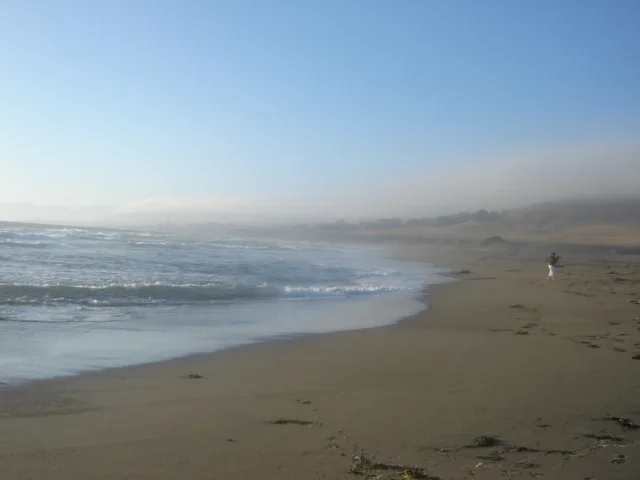 Bodega Bay, Bodega Bay, California