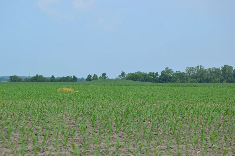 Lunsford-Pulcher Archeological Site, Columbia, Illinois