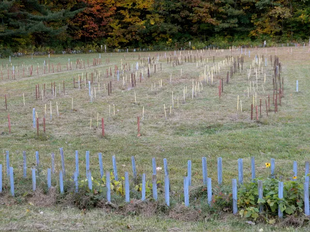 Caughnawaga Indian Village Site, Fonda, New York