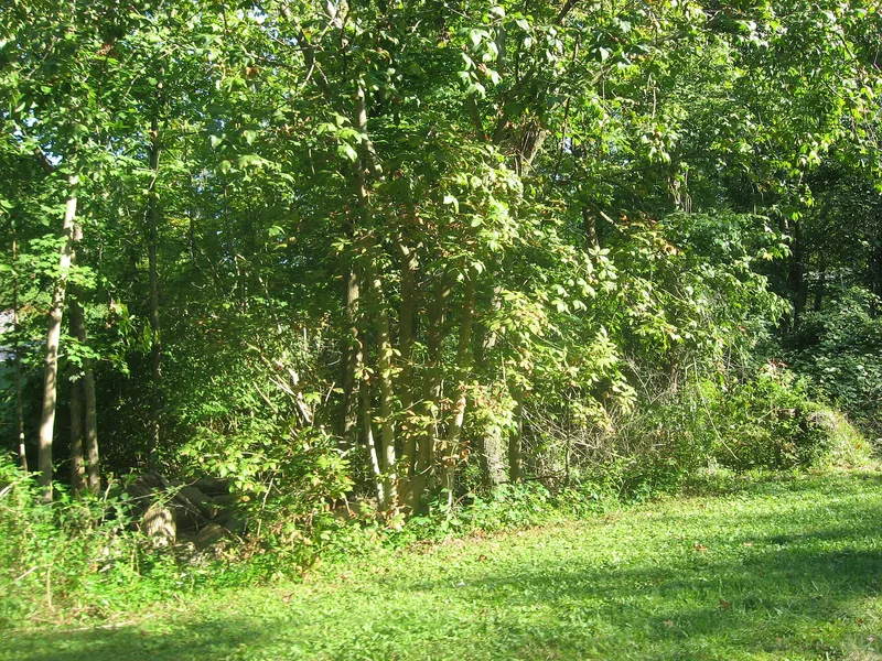 Spruce Run Earthworks, Galena, Ohio