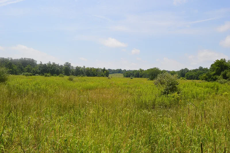 Rocky Fork Park Site, Rainsboro, Ohio