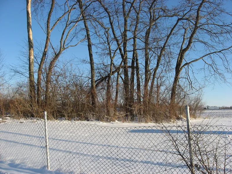 Wilson, Valentine, House, Somerford, Ohio