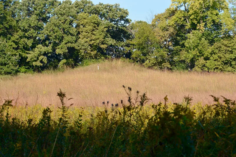 Albany Mounds Site, Albany, Illinois