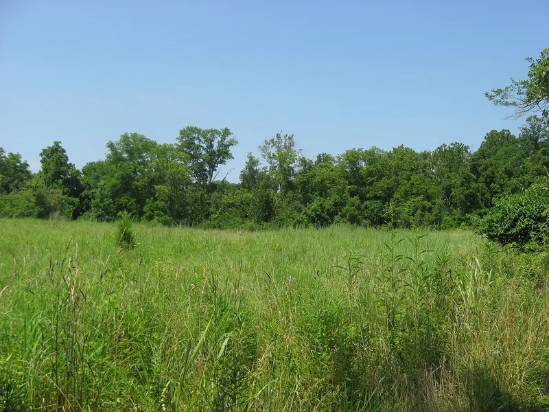Gatch Site, Milford, Ohio