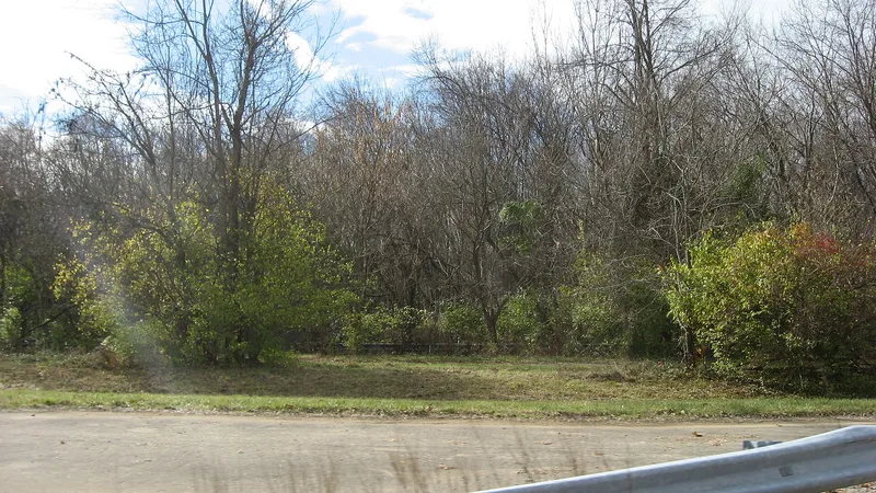 Ferris Site, Neville, Ohio