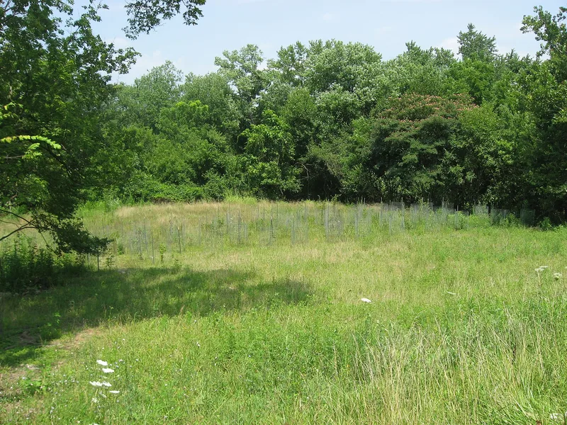 Clough Creek and Sand Ridge Archeological District, Ohio