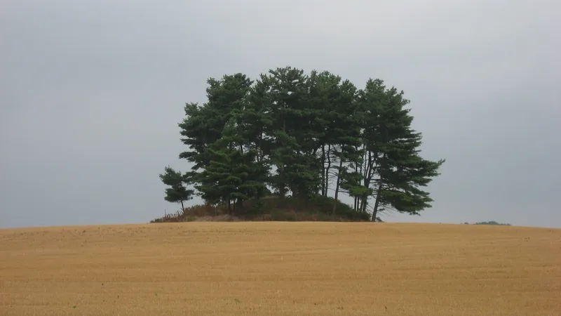 Luthor List Mound, Circleville, Ohio