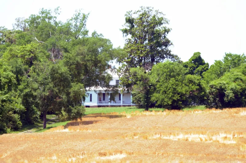 Tree Hill, Richmond, Virginia
