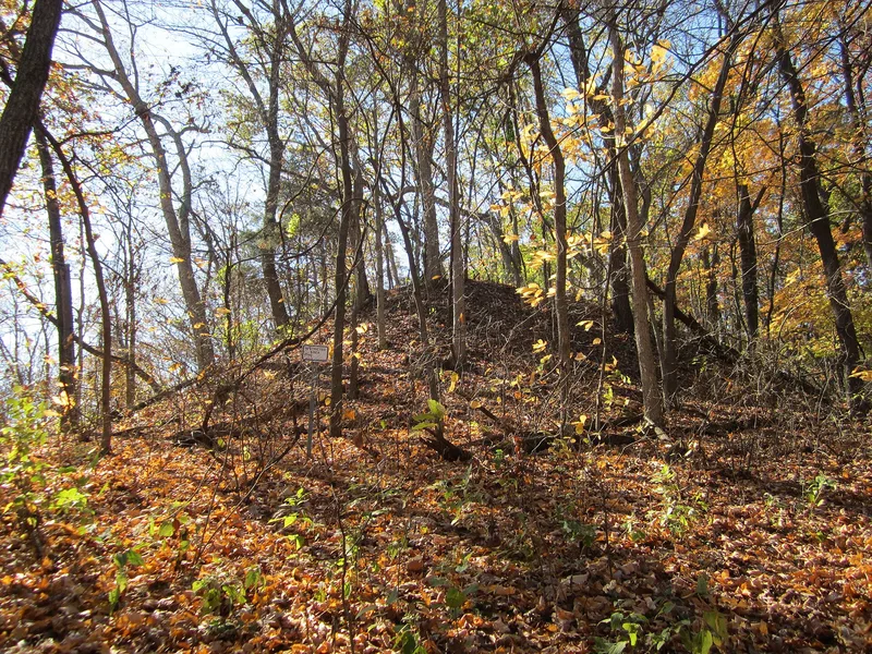 Naples Mound 8, Griggsville, Illinois