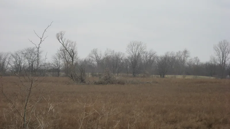 Jackson Mound, Pancoastburg, Ohio