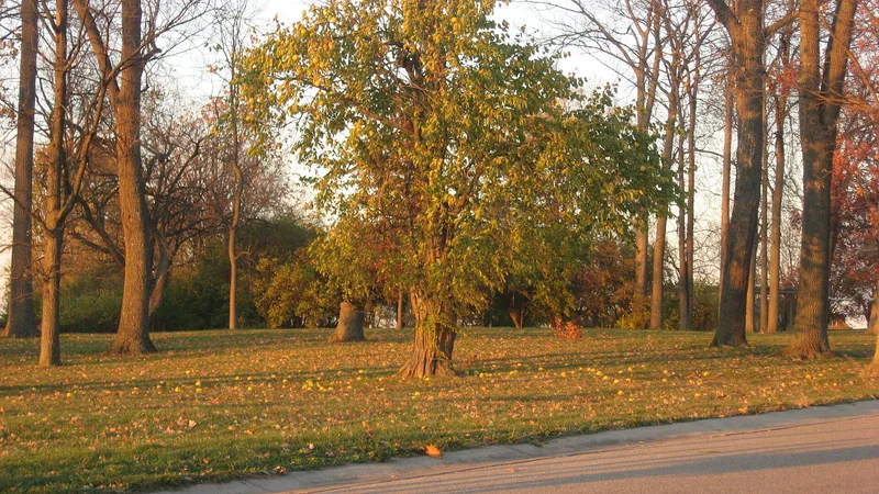 Mathew Mound, Evendale, Ohio