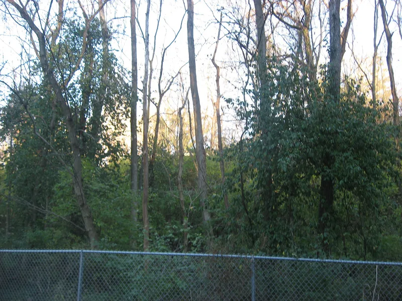 Broadwell, Cyrus, House, Newtown, Ohio