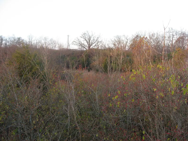 Mt. Nebo Archeological District, Ohio