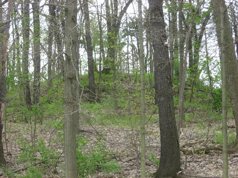Raleigh Mound, Fredericktown, Ohio