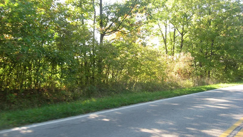 Morris-Franks Site, Vermilion, Ohio
