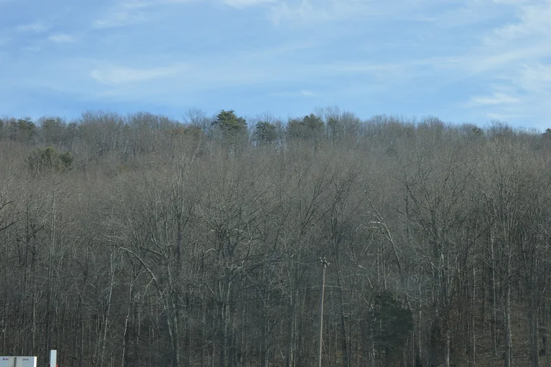 Mount Athos, Kelly, Virginia