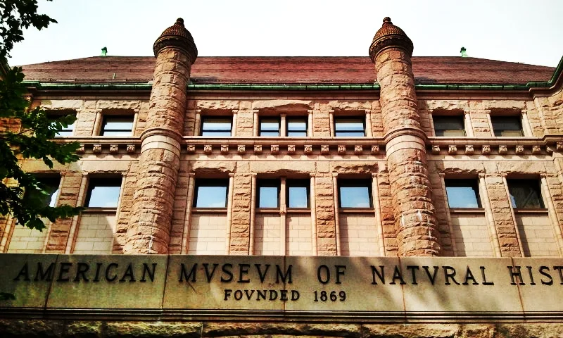 American Museum of Natural History, New York, New York