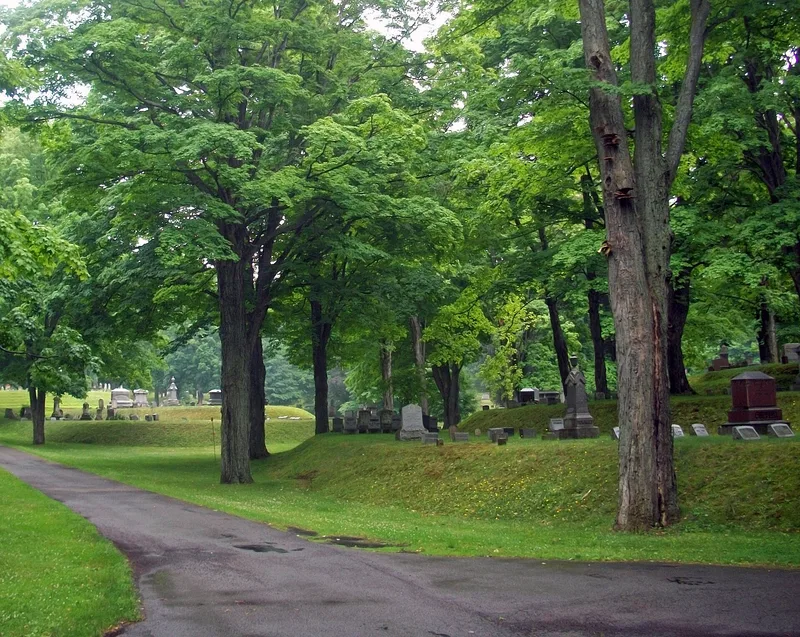 Mt. Albion Cemetery, Albion, New York