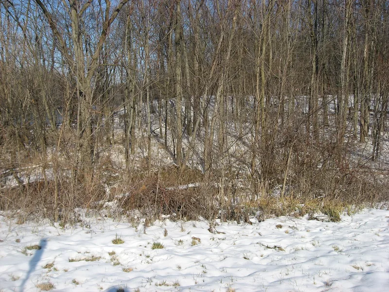 Brooke Site, Defiance, Ohio