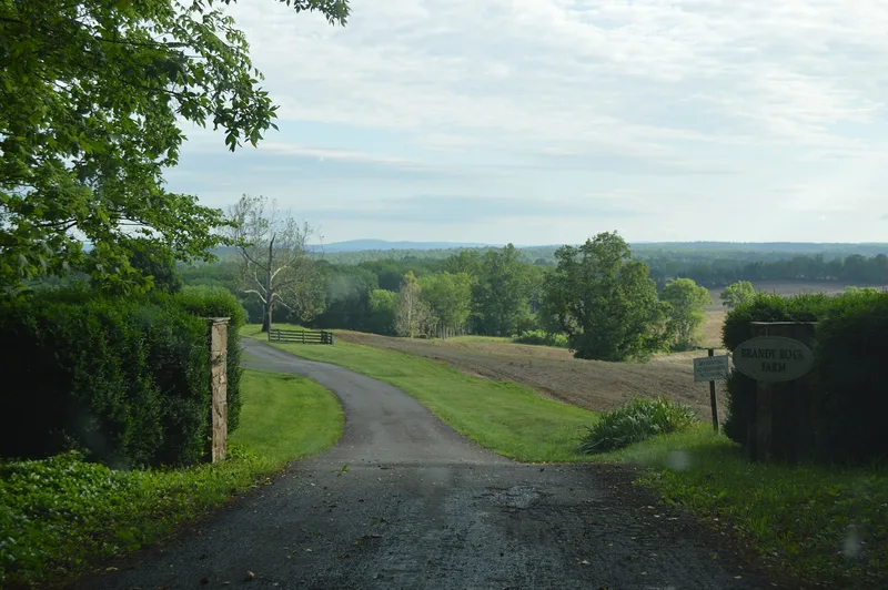 Farley, Brandy Station, Virginia