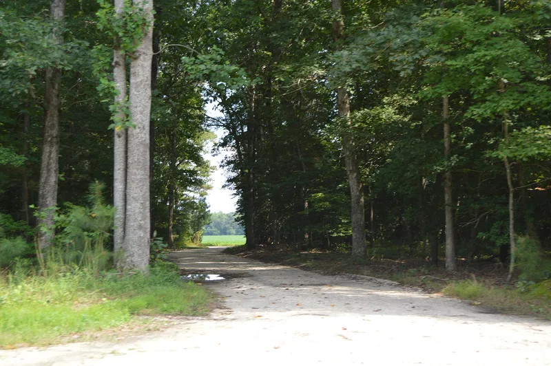 Totomoi, Studley, Virginia