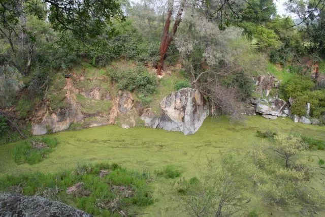 Griffith Quarry, Penryn, California