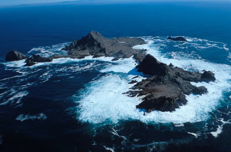 Farallone Islands, San Francisco, California