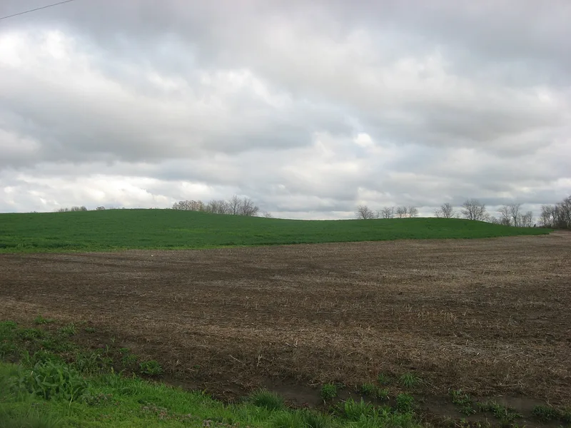 Ware Mounds and Village Site, Ware, Illinois