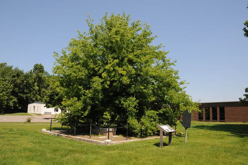 Richneck Plantation Site, Newport News (Independent City), Virginia