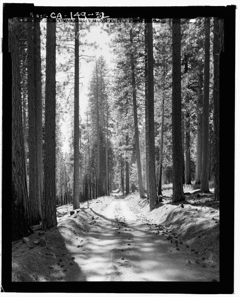 Great Sierra Wagon Road, Yosemite Valley, California