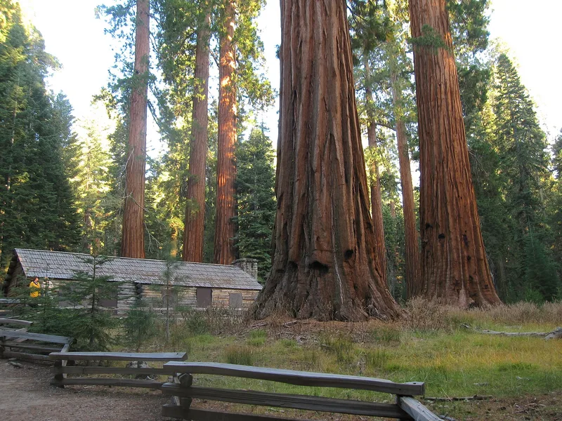 Mariposa Grove Museum, Wawona, California