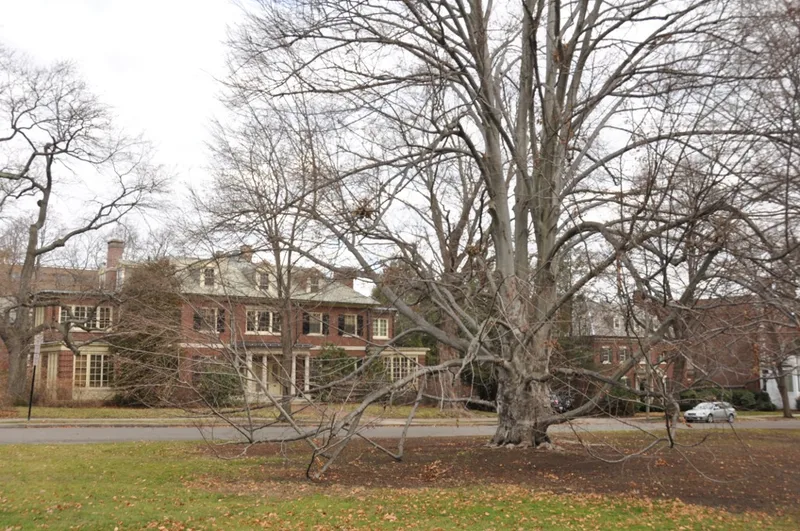Longwood Historic District, Brookline, Massachusetts