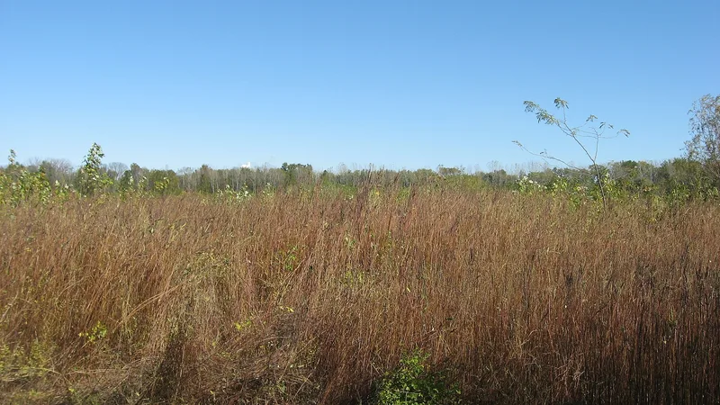 Riverton Site, Palestine, Illinois