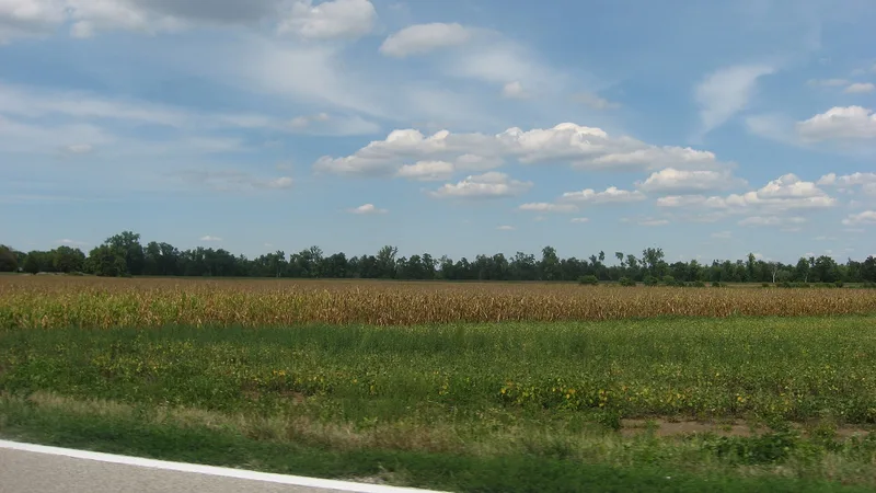 Swan Island Site, Palestine, Illinois