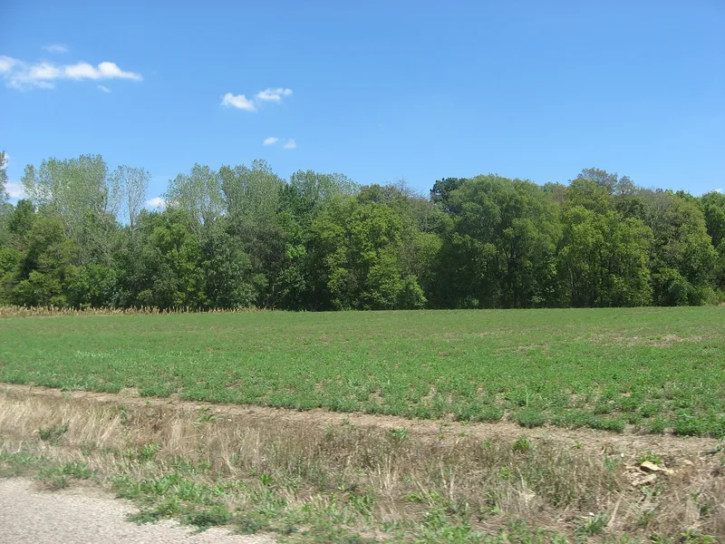 Stoner Site, Robinson, Illinois