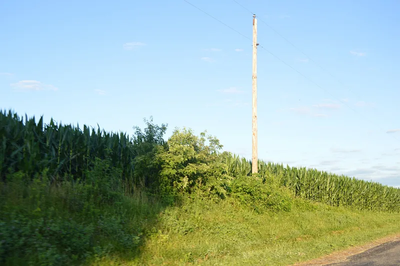 Larson Site, Lewistown, Illinois