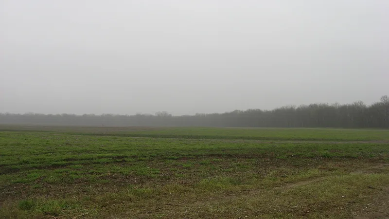 Hubele Mounds and Village Site, Maunie, Illinois